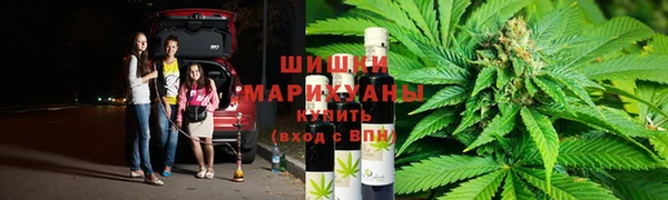 ПСИЛОЦИБИНОВЫЕ ГРИБЫ Белоозёрский